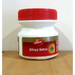 Giloya Satva