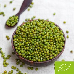 Organic Mung Bean